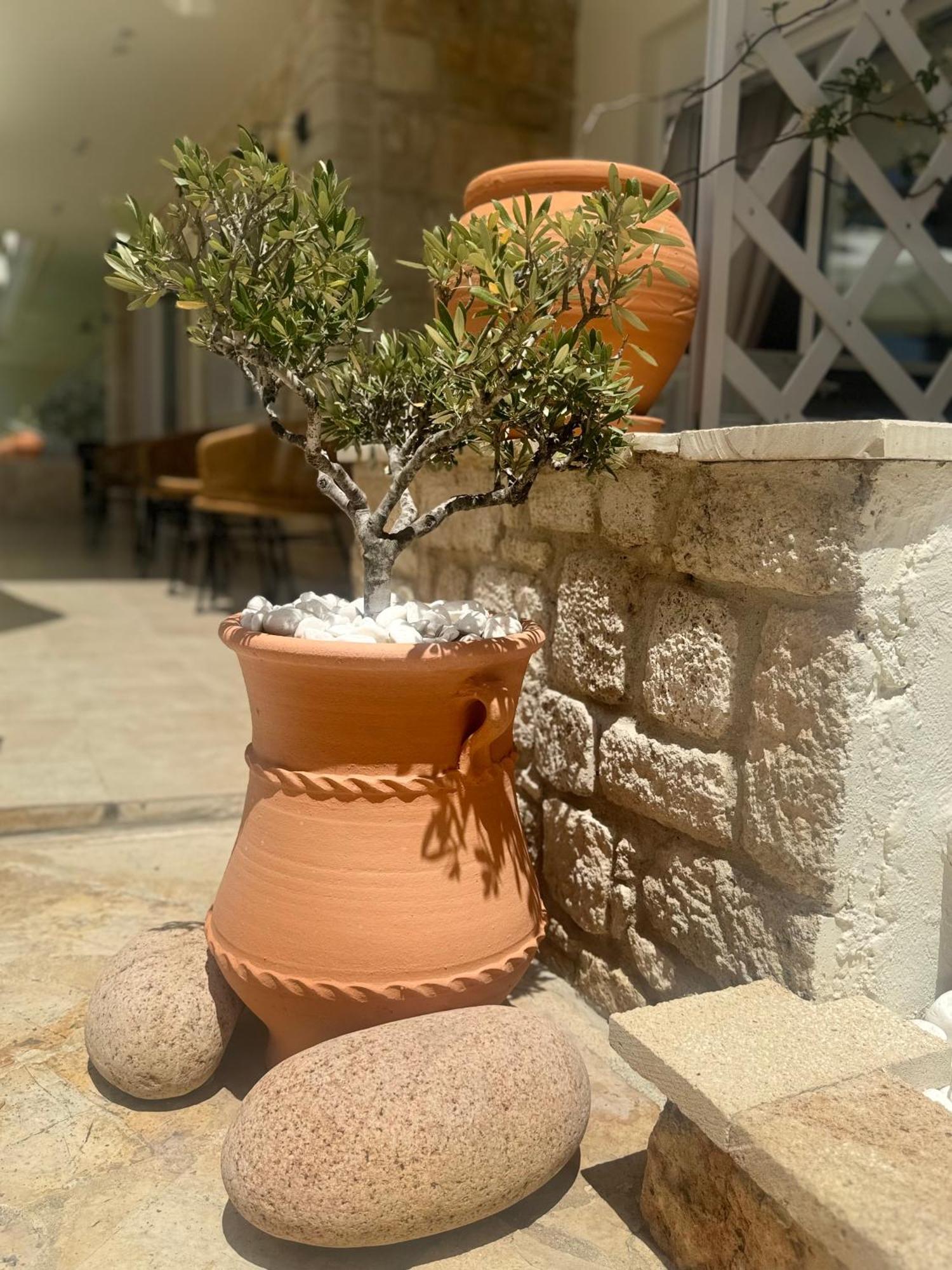 Kallithea  Melis Studios المظهر الخارجي الصورة